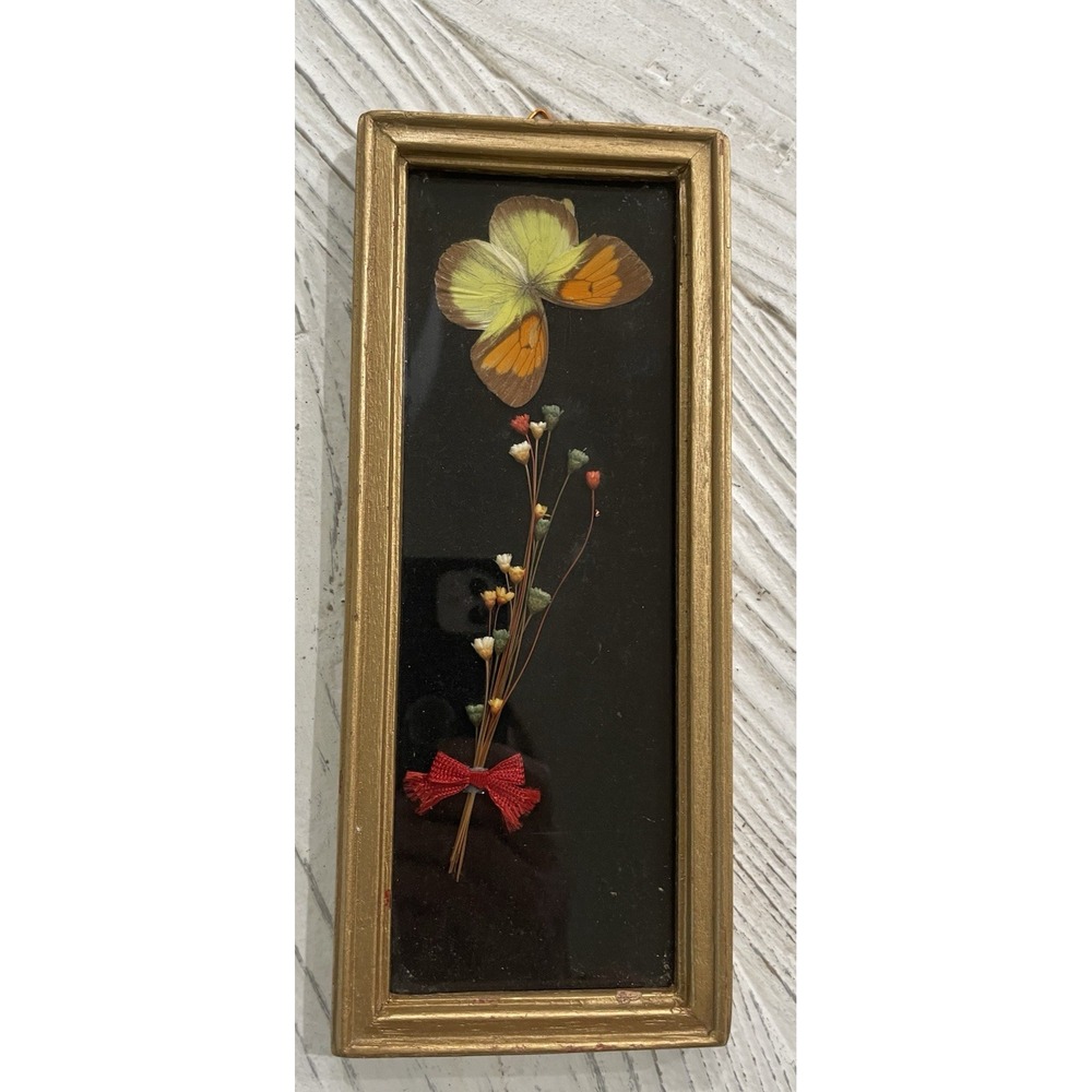 Vtg MCM Framed Dried Flowers and Butterfly Specimen 4x9" Boho 70s Vibe